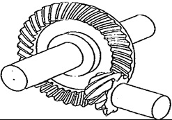 hypoid bevel gear