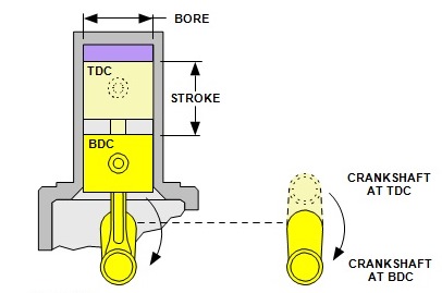 tdc bdc